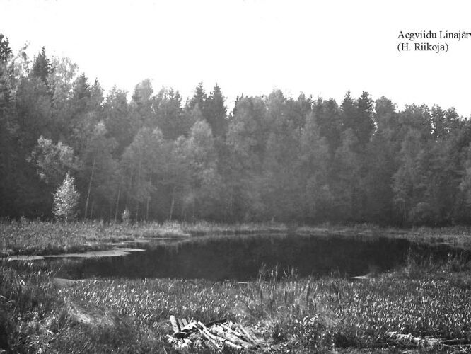 Maakond: Harjumaa Veekogu nimi: Aegviidu Linajärv Pildistamise aeg: teadmata Pildistaja: H. Riikoja Pildistamise koht: teadmata Asimuut: