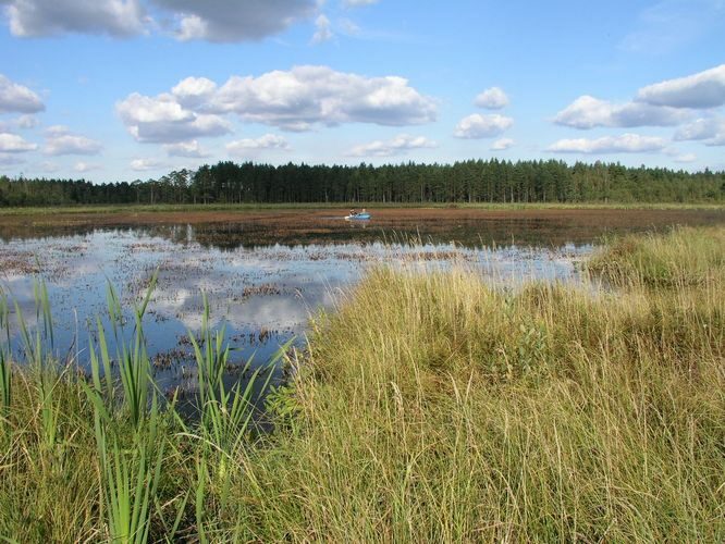 Maakond: Ida-Virumaa Veekogu nimi: Agusalu Suurjärv Pildistamise aeg: 11. september 2007 Pildistaja: H. Timm Pildistamise koht: teadmata Asimuut: