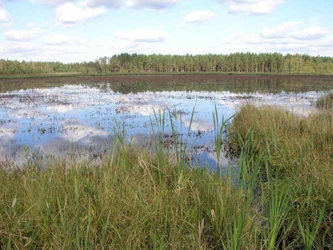 Maakond: Ida-Virumaa Veekogu nimi: Agusalu Suurjärv Pildistamise aeg: 11. september 2007 Pildistaja: H. Timm Pildistamise koht: teadmata Asimuut: