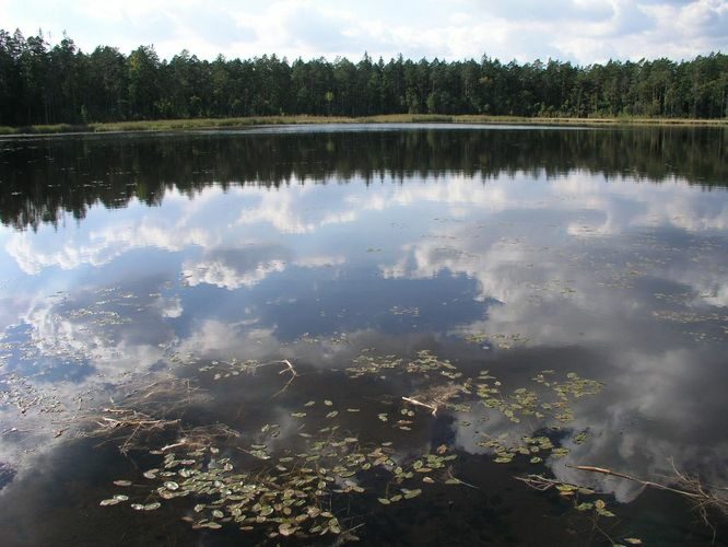 Maakond: Ida-Virumaa Veekogu nimi: Agusalu Väikejärv Pildistamise aeg: 11. september 2007 Pildistaja: H. Timm Pildistamise koht: teadmata Asimuut: