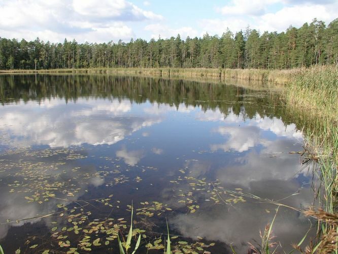 Maakond: Ida-Virumaa Veekogu nimi: Agusalu Väikejärv Pildistamise aeg: 11. september 2007 Pildistaja: H. Timm Pildistamise koht: teadmata Asimuut: