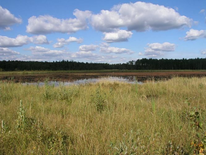 Maakond: Ida-Virumaa Veekogu nimi: Agusalu Suurjärv Pildistamise aeg: 11. september 2007 Pildistaja: H. Timm Pildistamise koht: teadmata Asimuut: