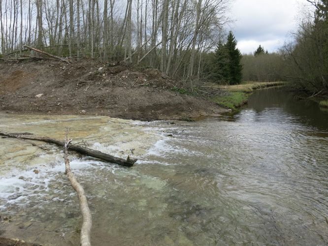 Maakond: Ida-Virumaa Veekogu nimi: Aidu karjääri väljavool Ojamaa jõkke Pildistamise aeg: 5. mai 2014 Pildistaja: H. Timm Pildistamise koht: teadmata Asimuut: