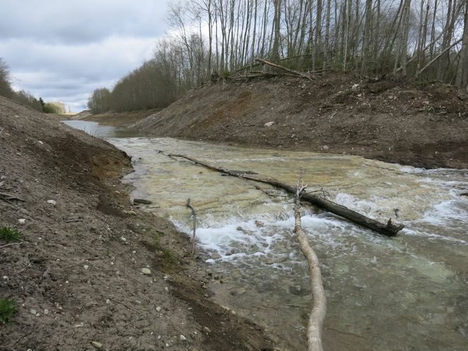 Maakond: Ida-Virumaa Veekogu nimi: Aidu karjääri väljavool Ojamaa jõkke Pildistamise aeg: 5. mai 2014 Pildistaja: H. Timm Pildistamise koht: teadmata Asimuut: