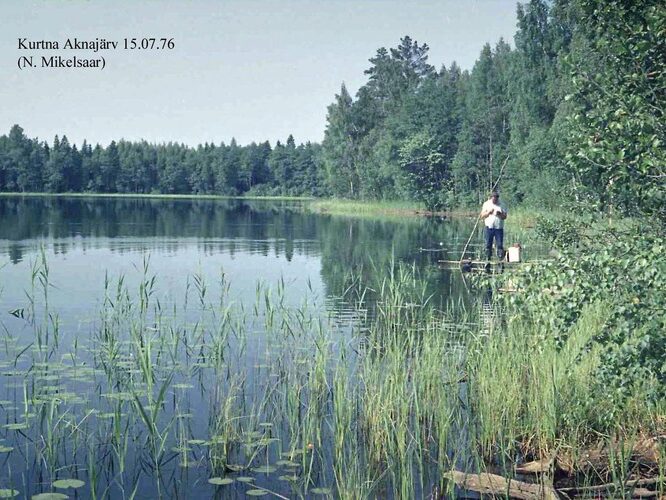 Maakond: Ida-Virumaa Veekogu nimi: Aknajärv Pildistamise aeg: 15. juuli 1976 Pildistaja: N. Mikelsaar Pildistamise koht: teadmata Asimuut: