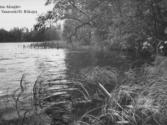 Maakond: Ida-Virumaa Veekogu nimi: Aknajärv Pildistamise aeg: teadmata Pildistaja: H. Vanaveski/H. Riikoja Pildistamise koht: teadmata Asimuut: