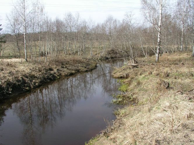 Maakond: Ida-Virumaa Veekogu nimi: Alajõgi Pildistamise aeg: 23. aprill 2007 Pildistaja: H. Timm Pildistamise koht: Pootsiku sillalt Asimuut: