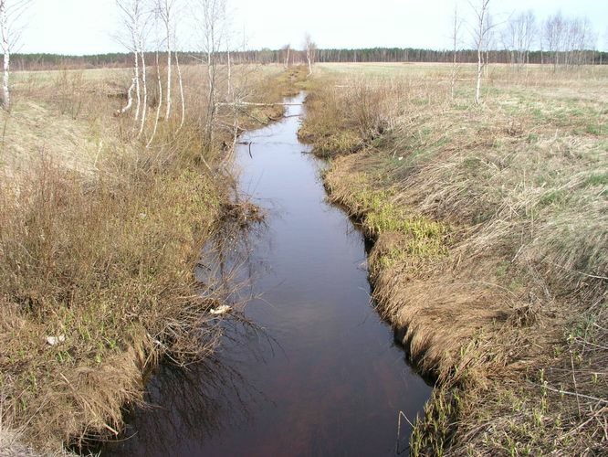 Maakond: Ida-Virumaa Veekogu nimi: Alajõgi Pildistamise aeg: 23. aprill 2007 Pildistaja: H. Timm Pildistamise koht: Varesmetsa Asimuut: