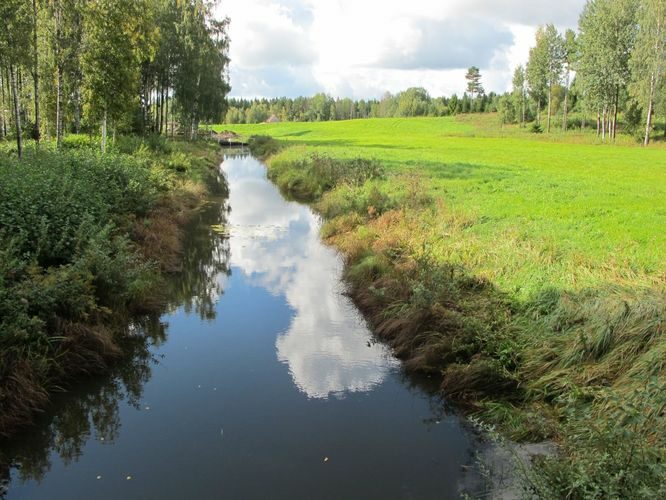 Maakond: Ida-Virumaa Veekogu nimi: Alajõgi Pildistamise aeg: 10. september 2011 Pildistaja: H. Timm Pildistamise koht: Vaikla Asimuut