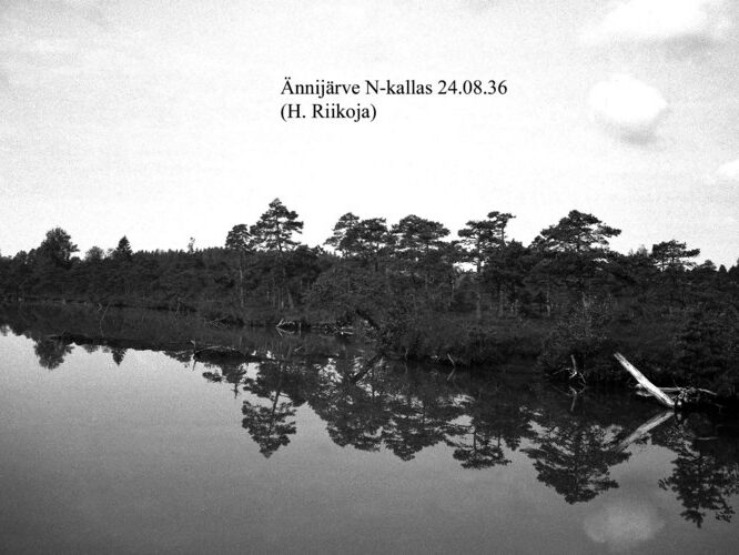 Maakond: Harjumaa Veekogu nimi: Ännijärv Pildistamise aeg: 24. august 1936 Pildistaja: H. Riikoja Pildistamise koht: N kallas Asimuut: