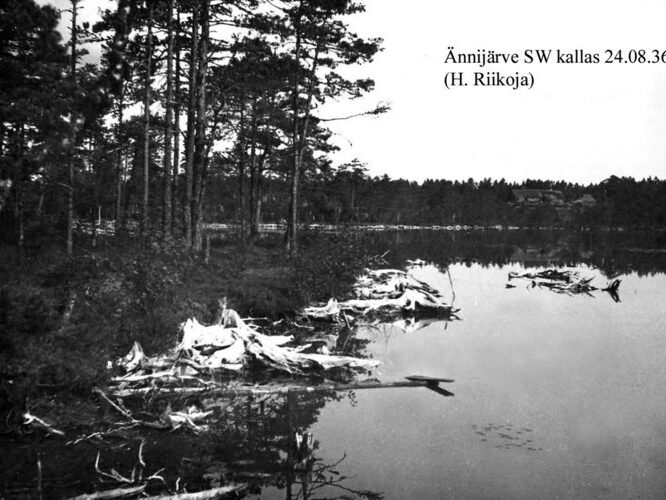 Maakond: Harjumaa Veekogu nimi: Ännijärv Pildistamise aeg: 24. august 1936 Pildistaja: H. Riikoja Pildistamise koht: SW kallas Asimuut: