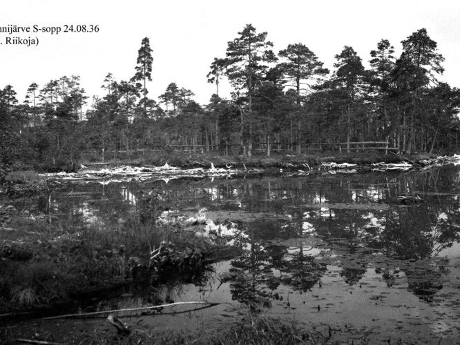 Maakond: Harjumaa Veekogu nimi: Ännijärv Pildistamise aeg: 24. august 1936 Pildistaja: H. Riikoja Pildistamise koht: S-sopp Asimuut: