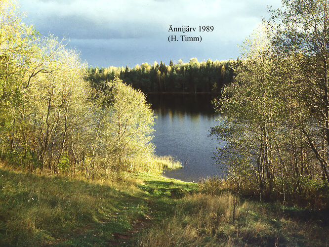 Maakond: Harjumaa Veekogu nimi: Ännijärv Pildistamise aeg: 1989 Pildistaja: H. Timm Pildistamise koht: teadmata Asimuut: