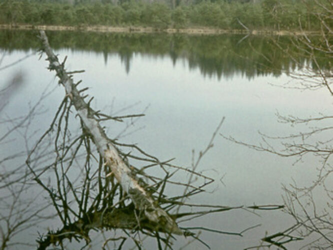 Maakond: Harjumaa Veekogu nimi: Ännijärv Pildistamise aeg: teadmata Pildistaja: A. Maspuran Pildistamise koht: teadmata Asimuut: