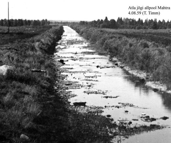 Maakond: Harjumaa Veekogu nimi: Atla jõgi Pildistamise aeg: 4. august 1959 Pildistaja: T. Timm Pildistamise koht: allpool Mahtra silda Asimuut: