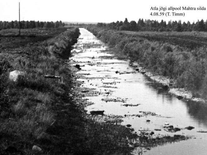 Maakond: Harjumaa Veekogu nimi: Atla jõgi Pildistamise aeg: 4. august 1959 Pildistaja: T. Timm Pildistamise koht: allpool Mahtra silda Asimuut: