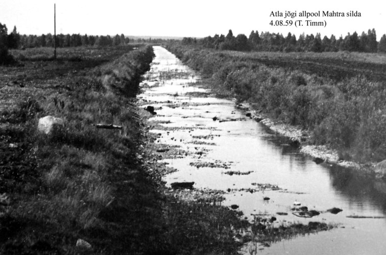 Maakond: Harjumaa Veekogu nimi: Atla jõgi Pildistamise aeg: 4. august 1959 Pildistaja: T. Timm Pildistamise koht: allpool Mahtra silda Asimuut: