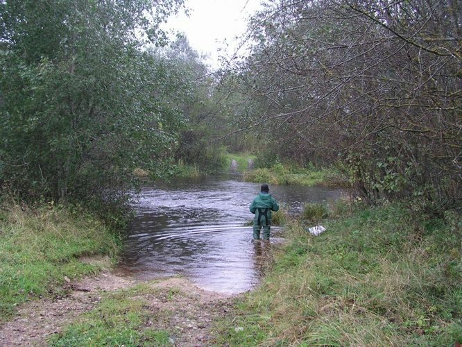 Maakond: Ida-Virumaa Veekogu nimi: Avijõgi Pildistamise aeg: 7. mai 2009 Pildistaja: H. Timm Pildistamise koht: Vadi koole Asimuut: