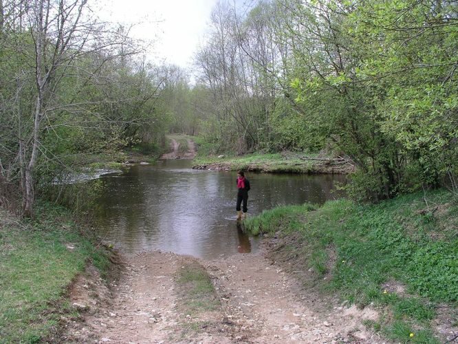 Maakond: Ida-Virumaa Veekogu nimi: Avijõgi Pildistamise aeg: 7. mai 2009 Pildistaja: H. Timm Pildistamise koht: Vadi koole Asimuut: