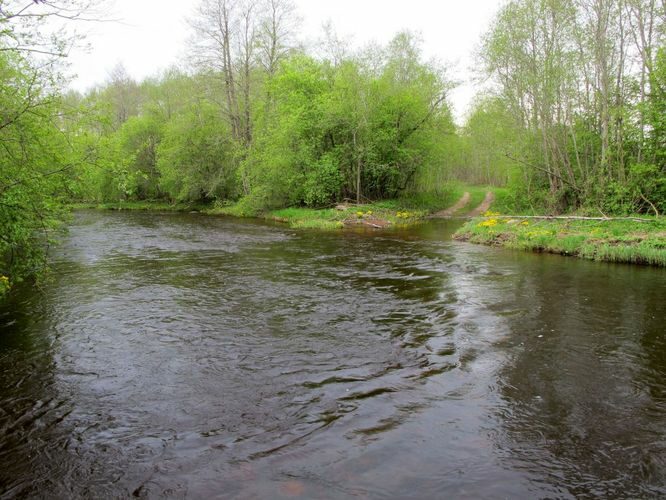 Maakond: Ida-Virumaa Veekogu nimi: Avijõgi Pildistamise aeg: 15. mai 2010 Pildistaja: H. Timm Pildistamise koht: Vadi koole Asimuut: