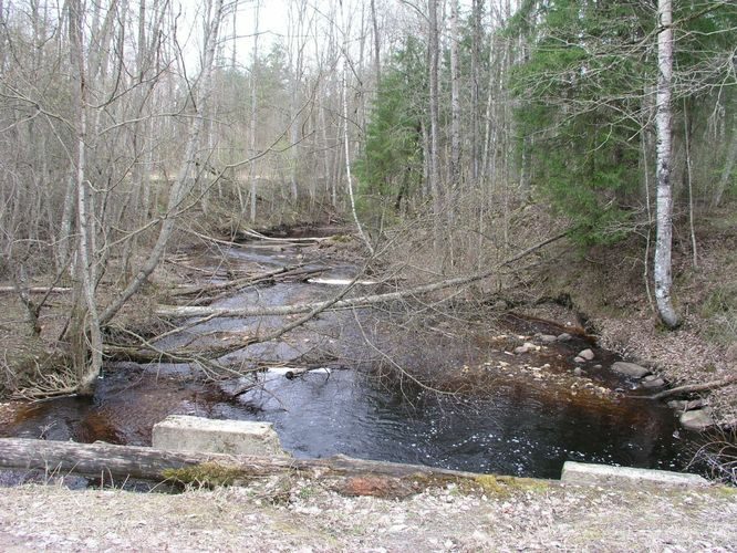 Maakond: Ida-Virumaa Veekogu nimi: Gorodenka oja Pildistamise aeg: 23. aprill 2007 Pildistaja: H. Timm Pildistamise koht: alamjooksu sillalt Asimuut: