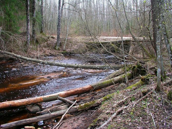 Maakond: Ida-Virumaa Veekogu nimi: Gorodenka oja Pildistamise aeg: 23. aprill 2007 Pildistaja: H. Timm Pildistamise koht: alamjooks Asimuut: