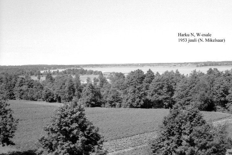 Maakond: Harjumaa Veekogu nimi: Harku järv Pildistamise aeg: juuli 1953 Pildistaja: N. Mikelsaar Pildistamise koht: N kaldalt W osale Asimuut: SE?