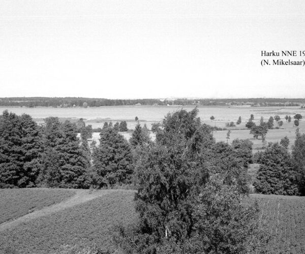 Maakond: Harjumaa Veekogu nimi: Harku järv Pildistamise aeg: juuli 1953 Pildistaja: N. Mikelsaar Pildistamise koht: NNE kaldalt Asimuut: SW?