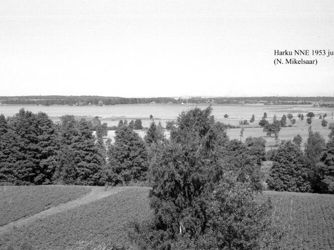 Maakond: Harjumaa Veekogu nimi: Harku järv Pildistamise aeg: juuli 1953 Pildistaja: N. Mikelsaar Pildistamise koht: NNE kaldalt Asimuut: SW?