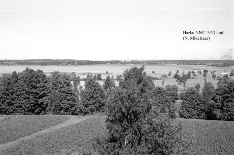 Maakond: Harjumaa Veekogu nimi: Harku järv Pildistamise aeg: juuli 1953 Pildistaja: N. Mikelsaar Pildistamise koht: NNE kaldalt Asimuut: SW?