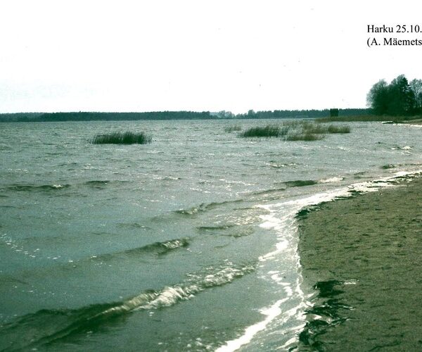 Maakond: Harjumaa Veekogu nimi: Harku järv Pildistamise aeg: 25. oktoober 1977 Pildistaja: A. Mäemets Pildistamise koht: teadmata Asimuut: