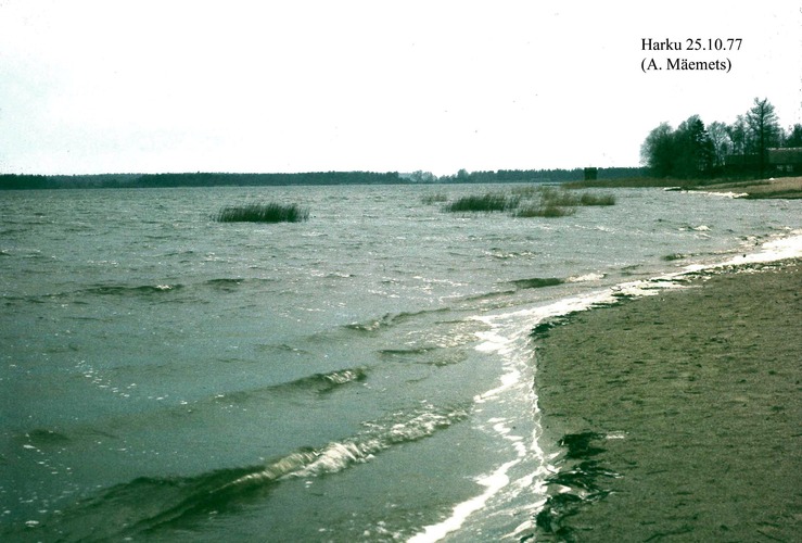 Maakond: Harjumaa Veekogu nimi: Harku järv Pildistamise aeg: 25. oktoober 1977 Pildistaja: A. Mäemets Pildistamise koht: teadmata Asimuut: