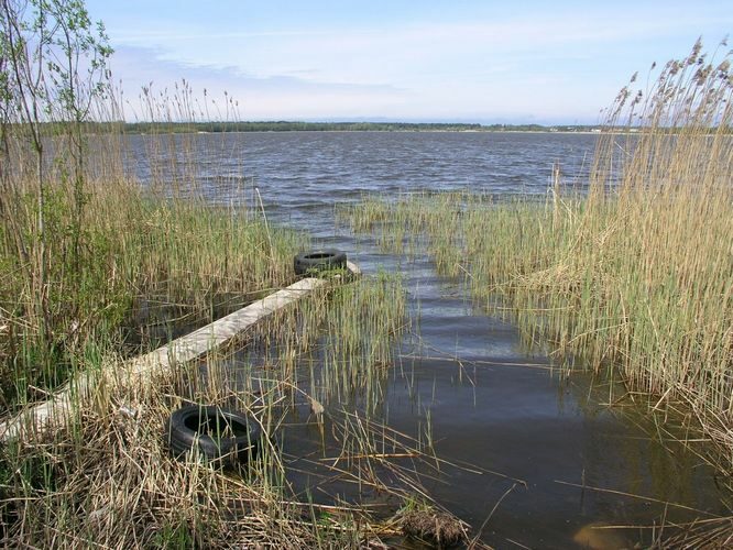 Maakond: Harjumaa Veekogu nimi: Harku järv Pildistamise aeg: 20. mai 2009 Pildistaja: H. Timm Pildistamise koht: teadmata Asimuut: