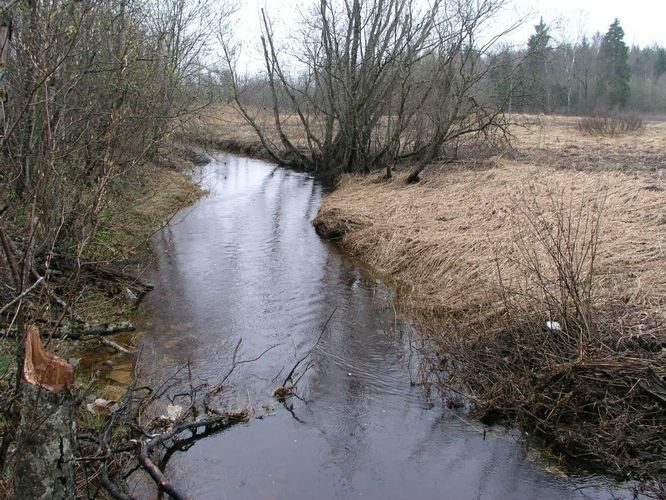 Maakond: Ida-Virumaa Veekogu nimi: Hirmuse jõgi Pildistamise aeg: 24. aprill 2007 Pildistaja: H. Timm Pildistamise koht: Soonurmest S Asimuut: