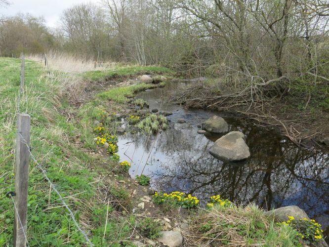 Maakond: Ida-Virumaa Veekogu nimi: Hirmuse jõgi Pildistamise aeg: 5. mai 2014 Pildistaja: H. Timm Pildistamise koht: alamjooks Asimuut: