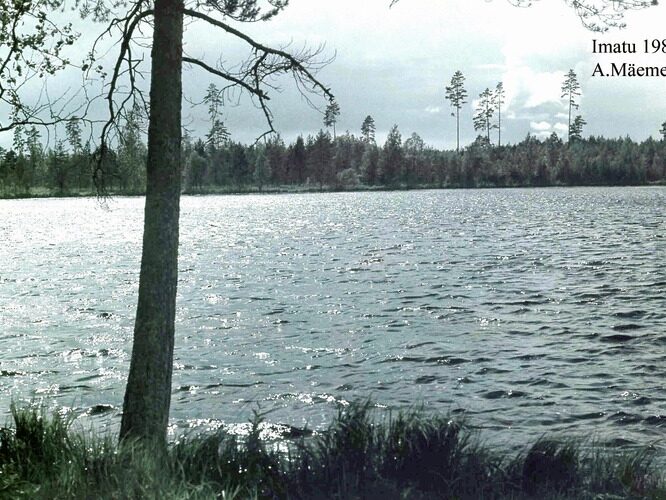 Maakond: Ida-Virumaa Veekogu nimi: Imatu järv Pildistamise aeg: 1987 Pildistaja: A. Mäemets Pildistamise koht: E-kallas Asimuut: SW