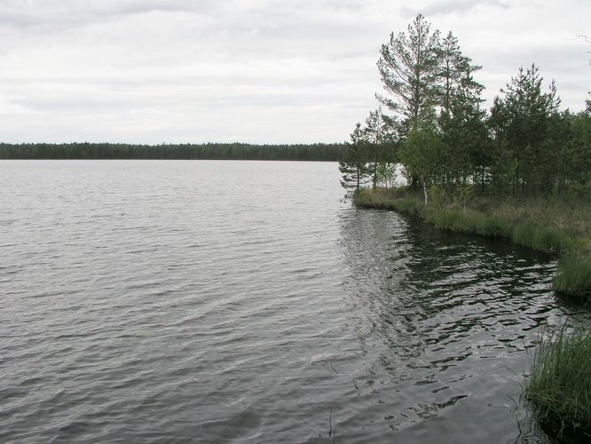 Maakond: Ida-Virumaa Veekogu nimi: Imatu järv Pildistamise aeg: 31. mai 2003 Pildistaja: H. Timm Pildistamise koht: teadmata Asimuut: