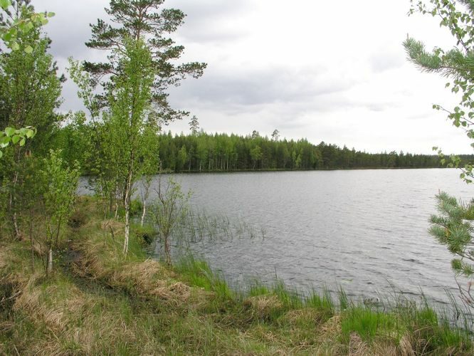 Maakond: Ida-Virumaa Veekogu nimi: Imatu järv Pildistamise aeg: 31. mai 2003 Pildistaja: H. Timm Pildistamise koht: teadmata Asimuut: