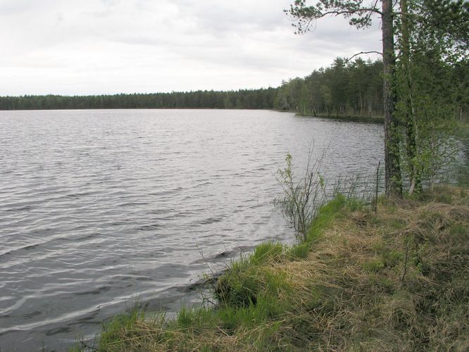 Maakond: Ida-Virumaa Veekogu nimi: Imatu järv Pildistamise aeg: 31. mai 2003 Pildistaja: H. Timm Pildistamise koht: teadmata Asimuut: