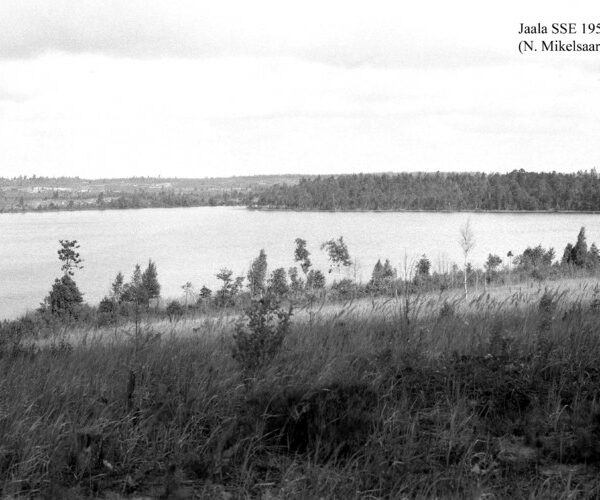 Maakond: Ida-Virumaa Veekogu nimi: Jaala järv Pildistamise aeg: juuli 1954 Pildistaja: N. Mikelsaar Pildistamise koht: SSE Asimuut: