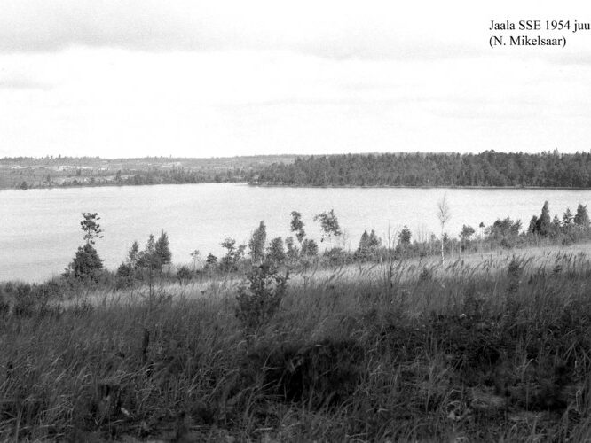 Maakond: Ida-Virumaa Veekogu nimi: Jaala järv Pildistamise aeg: juuli 1954 Pildistaja: N. Mikelsaar Pildistamise koht: SSE Asimuut: