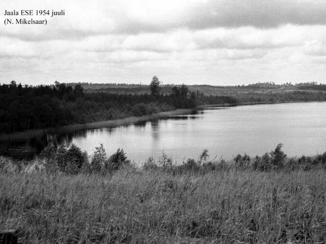 Maakond: Ida-Virumaa Veekogu nimi: Jaala järv Pildistamise aeg: juuli 1954 Pildistaja: N. Mikelsaar Pildistamise koht: ESE Asimuut: