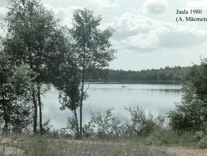 Maakond: Ida-Virumaa Veekogu nimi: Jaala järv Pildistamise aeg: 1980 Pildistaja: A. Mäemets Pildistamise koht: teadmata Asimuut: