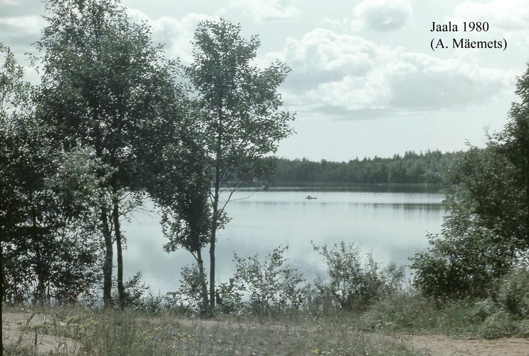 Maakond: Ida-Virumaa Veekogu nimi: Jaala järv Pildistamise aeg: 1980 Pildistaja: A. Mäemets Pildistamise koht: teadmata Asimuut: