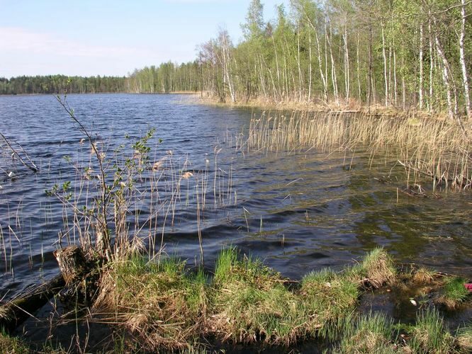 Maakond: Ida-Virumaa Veekogu nimi: Jaala järv Pildistamise aeg: 23. mai 2006 Pildistaja: H. Timm Pildistamise koht: teadmata Asimuut: