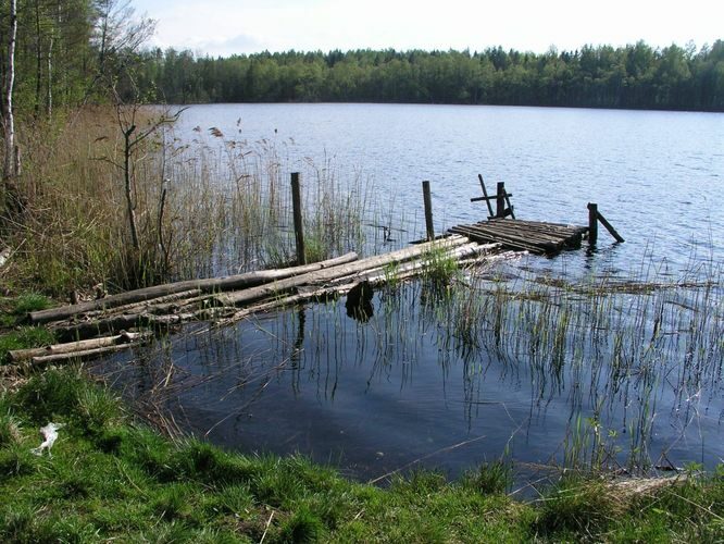 Maakond: Ida-Virumaa Veekogu nimi: Jaala järv Pildistamise aeg: 23. mai 2006 Pildistaja: H. Timm Pildistamise koht: teadmata Asimuut: