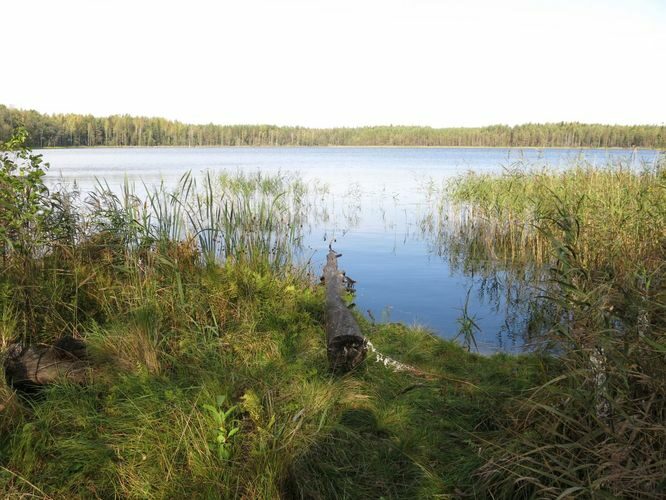 Maakond: Ida-Virumaa Veekogu nimi: Jaala järv Pildistamise aeg: 25. september 2014 Pildistaja: H. Timm Pildistamise koht: teadmata Asimuut: