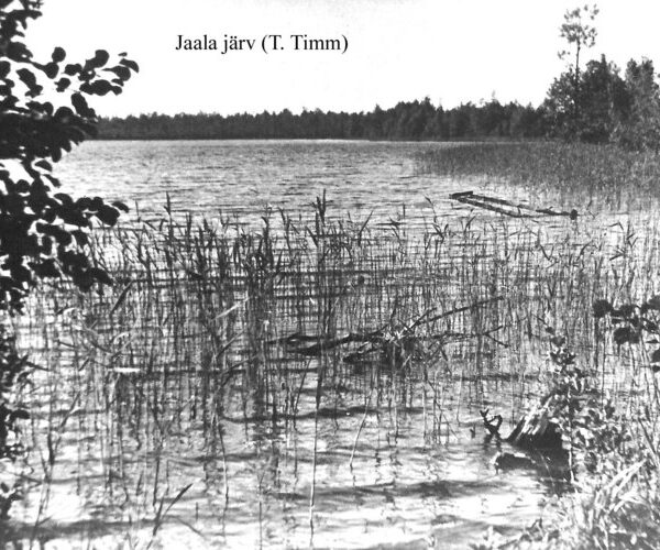 Maakond: Ida-Virumaa Veekogu nimi: Jaala järv Pildistamise aeg: teadmata Pildistaja: T. Timm Pildistamise koht: teadmata Asimuut: