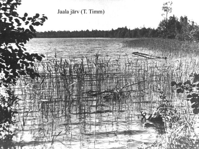 Maakond: Ida-Virumaa Veekogu nimi: Jaala järv Pildistamise aeg: teadmata Pildistaja: T. Timm Pildistamise koht: teadmata Asimuut: