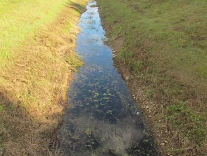 Maakond: Harjumaa Veekogu nimi: Jägala - Pirita kanal Pildistamise aeg: 20. september 2010 Pildistaja: H. Timm Pildistamise koht: sillalt Asimuut: